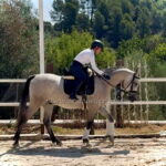 Cinico CD  *2021, Hispano Arab gelding, 1,58m, price B