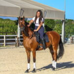 Apolo *2019, Wallach, 1,65m, Preis E