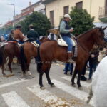 Carlito *2022, Wallach, 1,65m, Preis C