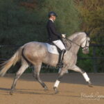 Porteña AP *2021, PRE mare, 1,75m, price D