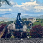 Quilate do Rosario *2020, PSL Wallach, 1,59m, Preis C