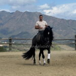 GUARDIAN DE LA ESPADA *2021, PRE Wallach, 1,65m, Preis D