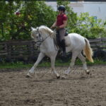 Antequera AM *2021, PRE mare, 1,63m, price C