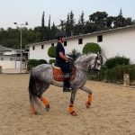Lacayo de la Copa *2021, PRE Hengst, 1,64m, Preis E